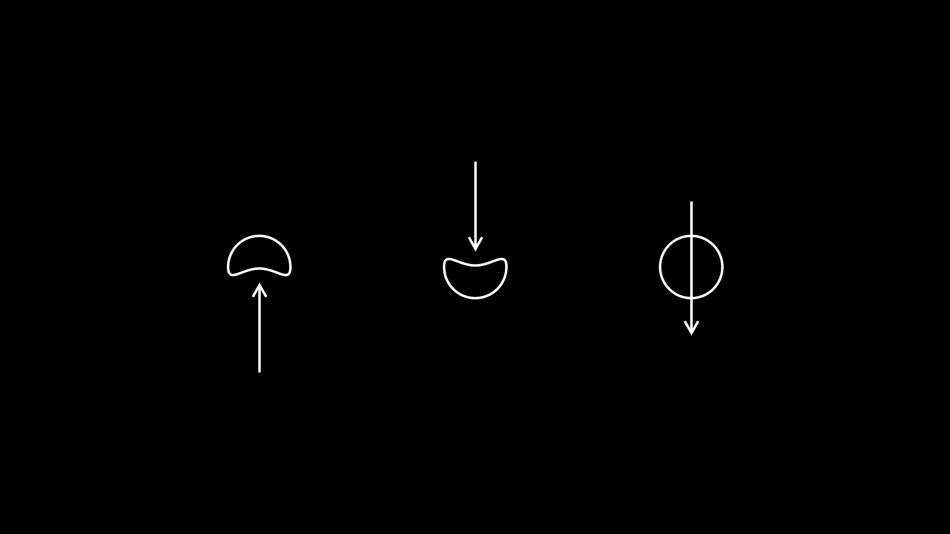 "Your life will be in order when disorder ceases to bother you."