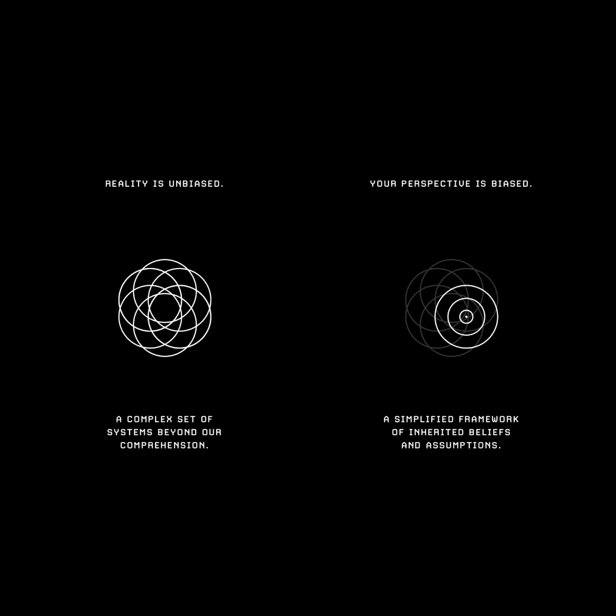 Reality vs. Perspective